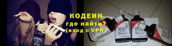 сатива Арсеньев
