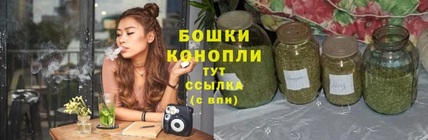 сатива Арсеньев