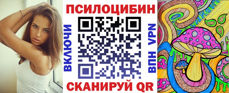 как найти закладки  Судогда  мориарти какой сайт  Псилоцибиновые грибы мицелий 